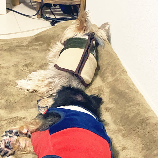 ohanaさんの実例写真