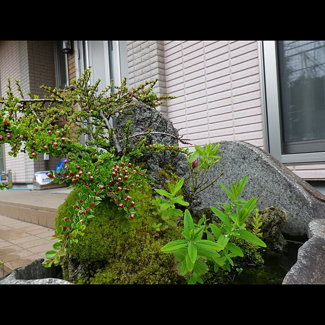 Rehiroさんの実例写真