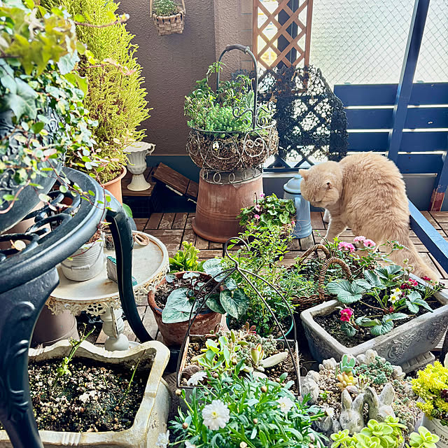 naokoさんの部屋