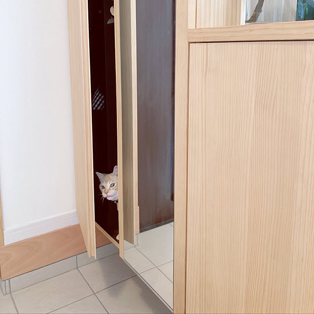 m.k.mさんの実例写真