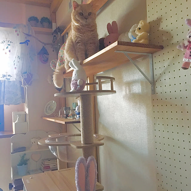 naokoさんの実例写真