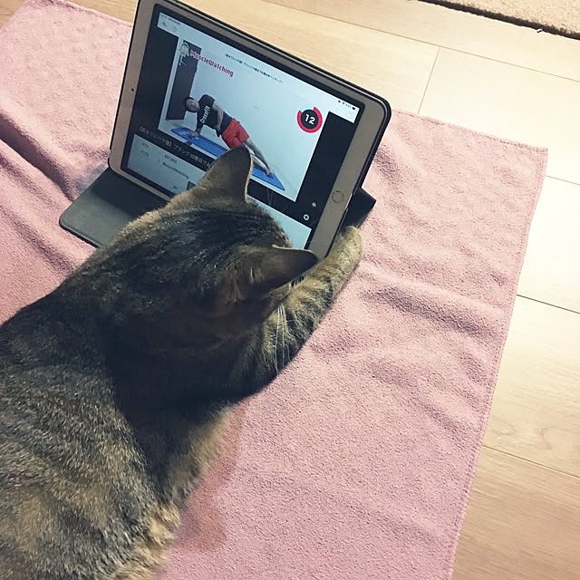 mikomaruさんの実例写真