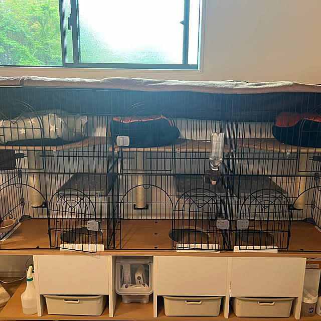 mosiさんの部屋