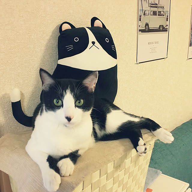 oseroさんの実例写真