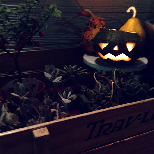chekimaruさんの実例写真