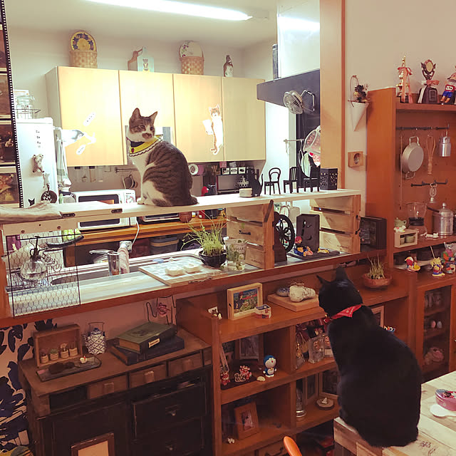 jijiさんの実例写真