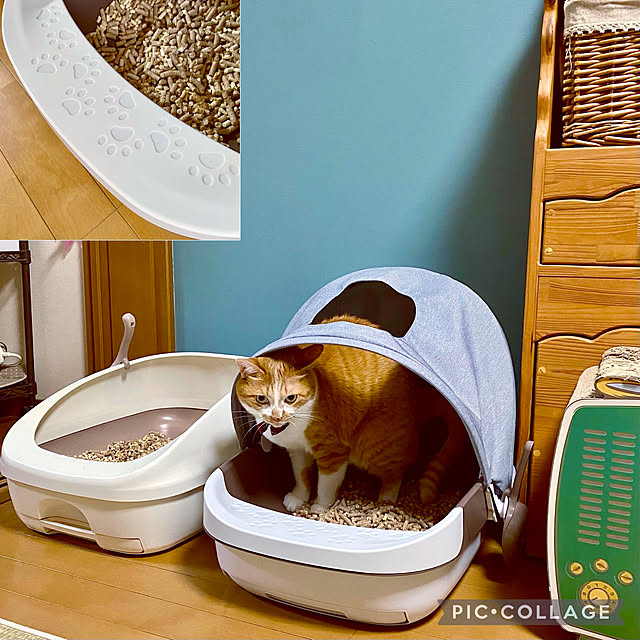 cocomaroさんの実例写真