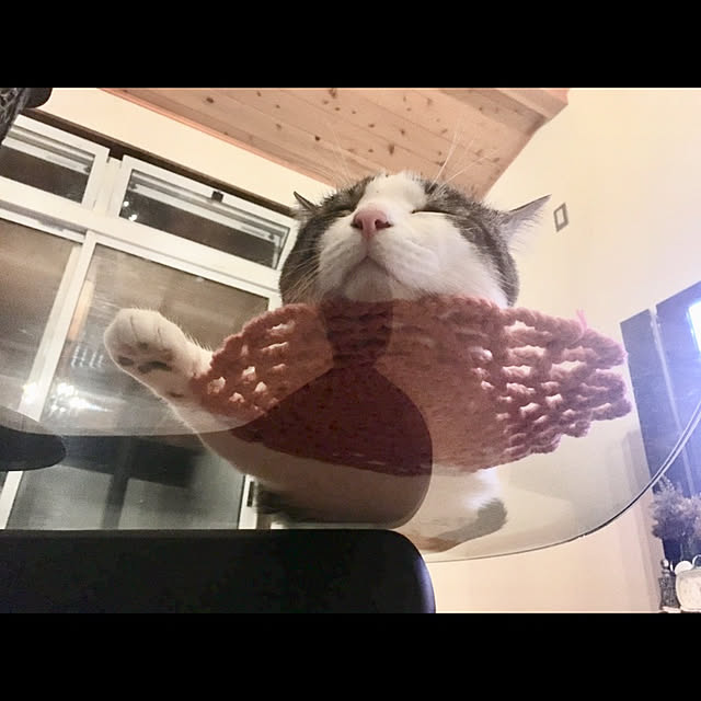 marusanさんの実例写真