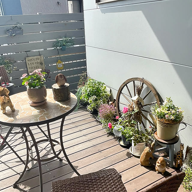 machaさんの部屋