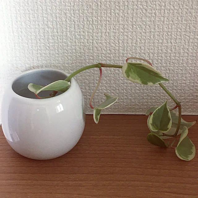 yunadetoさんの実例写真