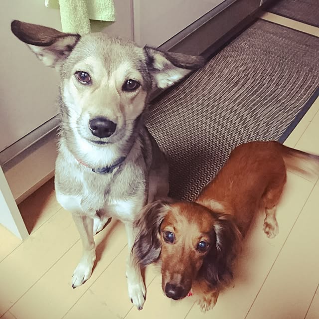 andさんの実例写真