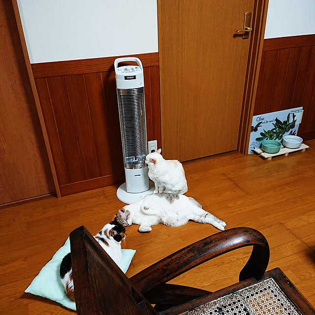 nachiさんの実例写真