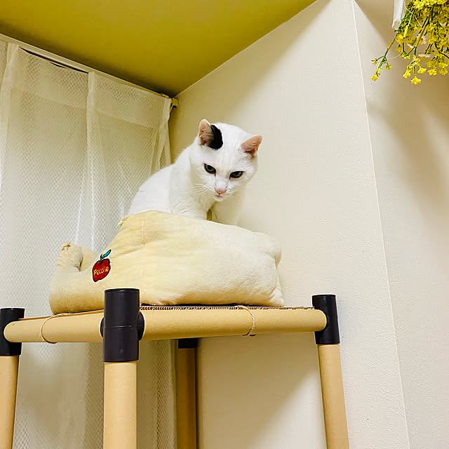 YUKAさんの実例写真