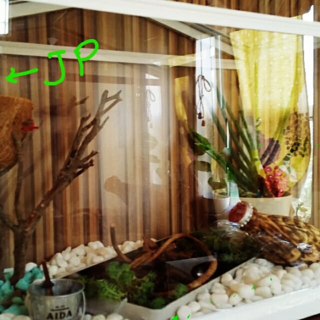 saori76さんの実例写真