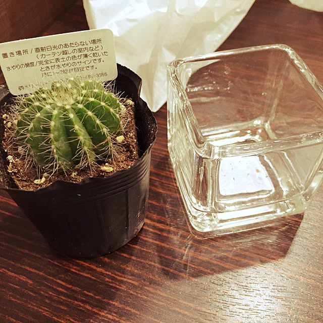 haruさんの実例写真