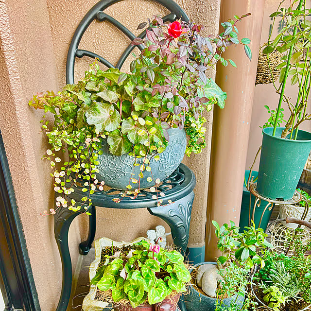 naokoさんの部屋