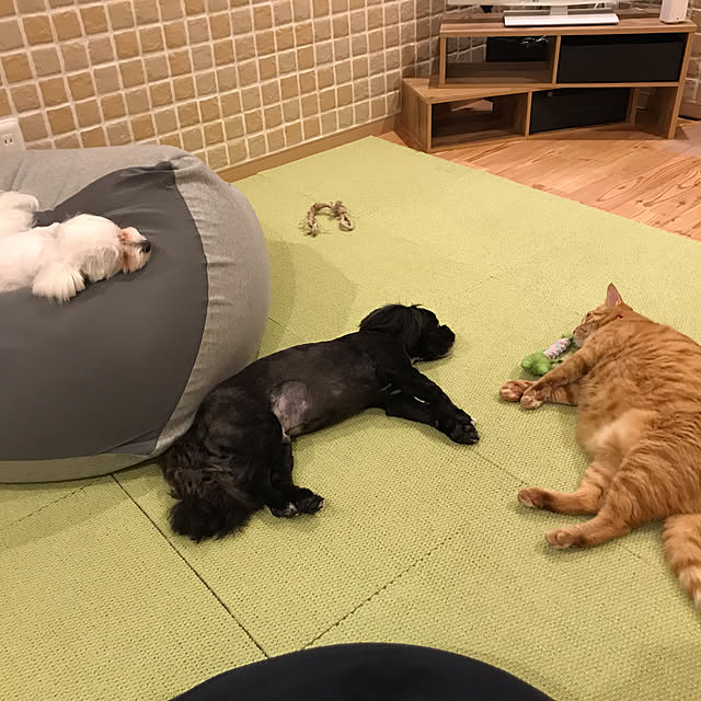 chikoさんの実例写真