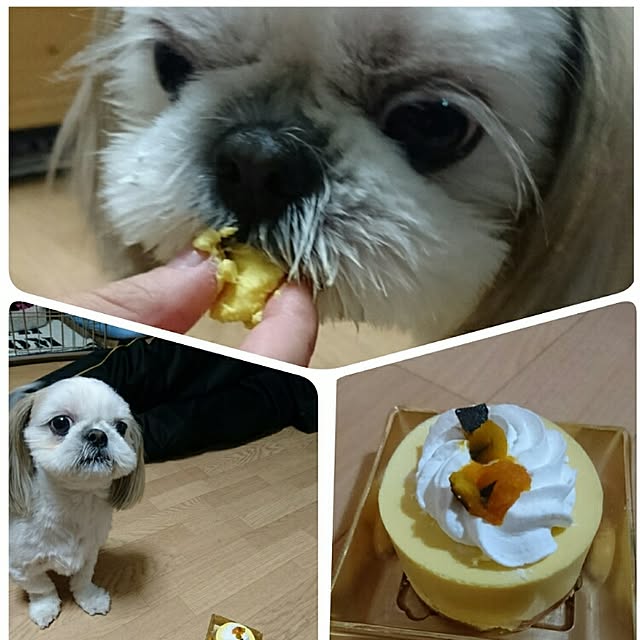 Reiさんの実例写真