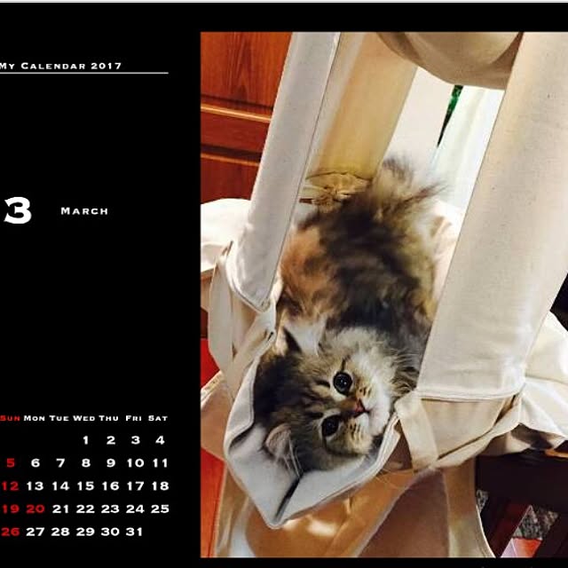 butachanさんの実例写真