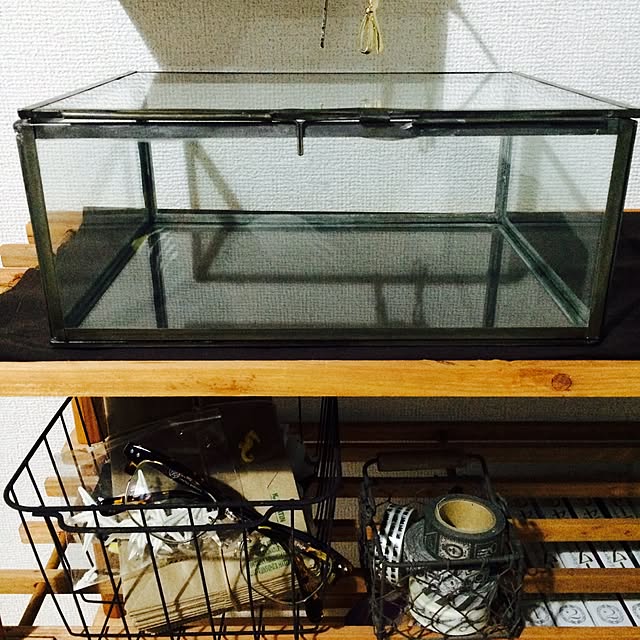 misakiさんの実例写真