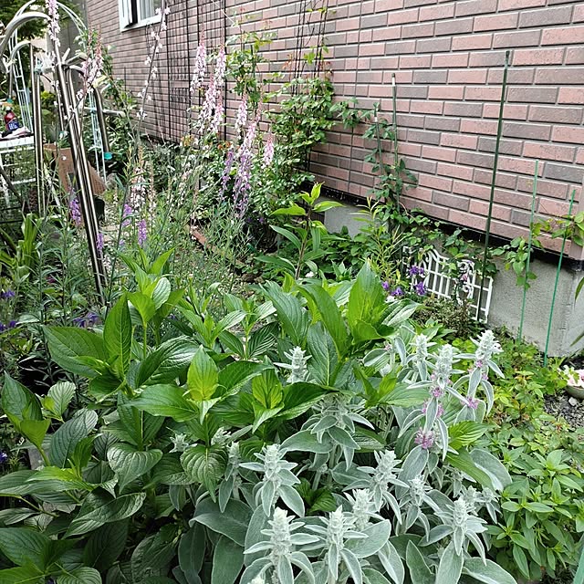 kiraさんの部屋