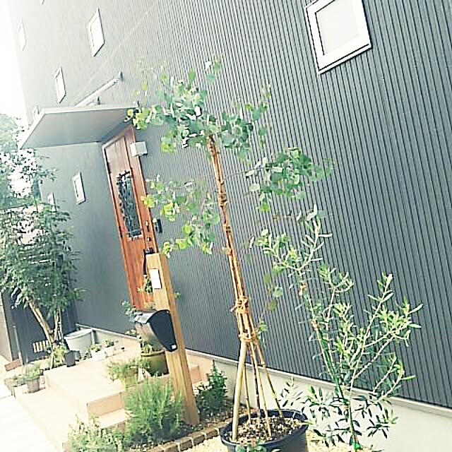 実例写真