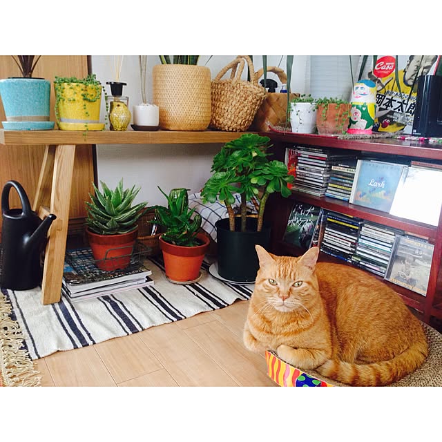 ATmさんの実例写真