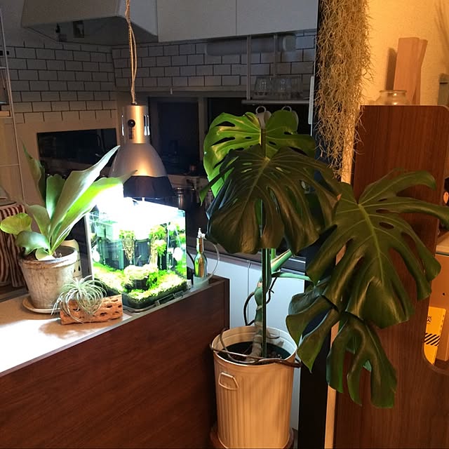 panjiroさんの実例写真