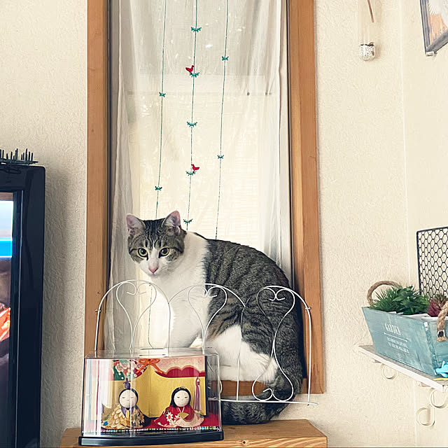 Lufuさんの実例写真