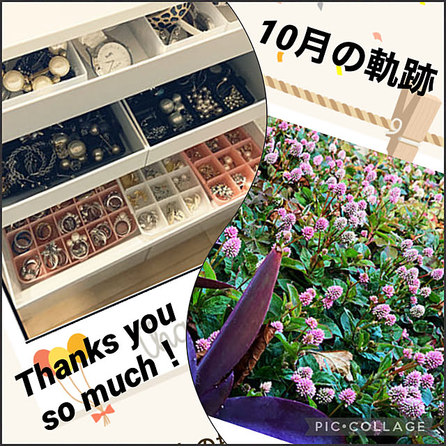 yukarin-gardenさんの実例写真
