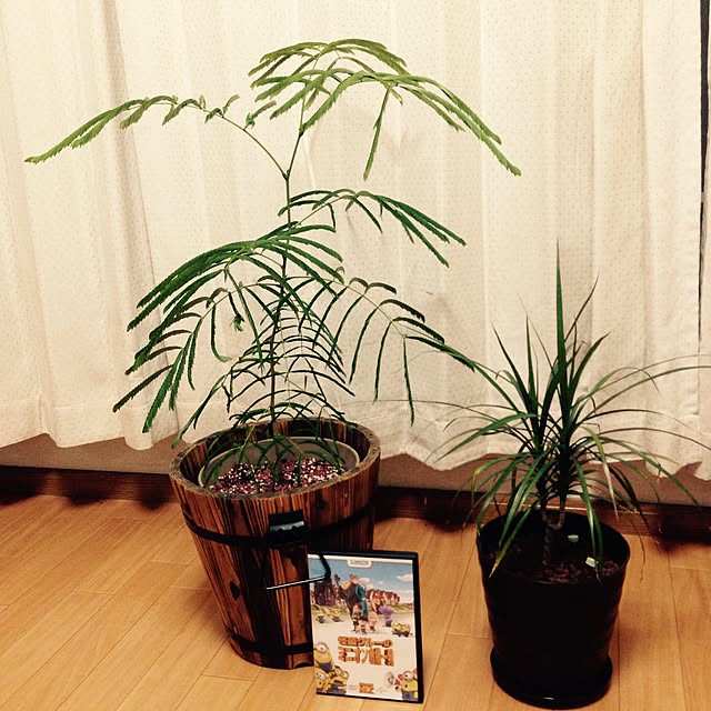 Annaさんの実例写真