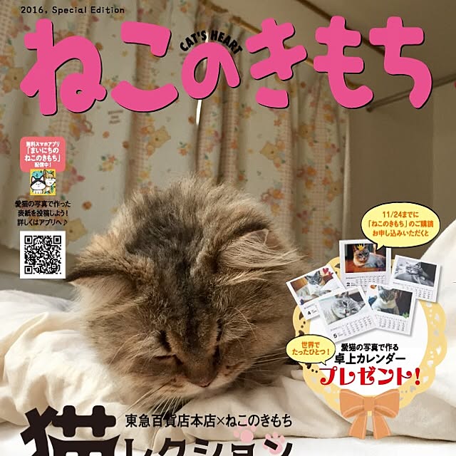butachanさんの実例写真