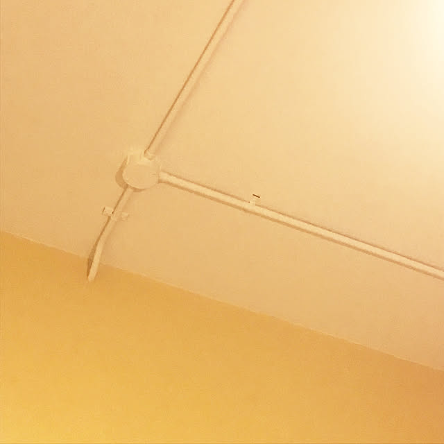 Wakaさんの実例写真