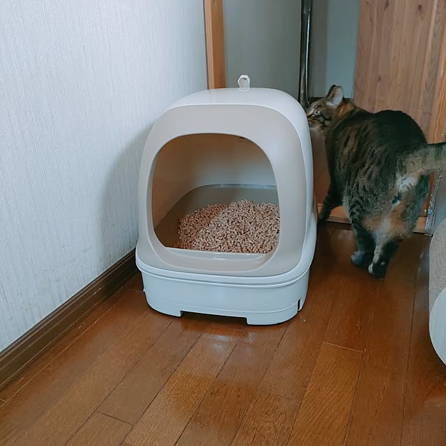 mori_6_12さんの実例写真