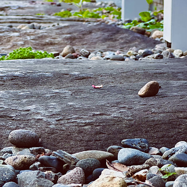 chacoさんの実例写真