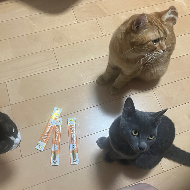 nekoさんの実例写真