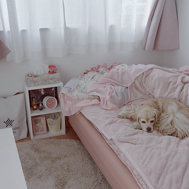 Shooowkoさんの実例写真