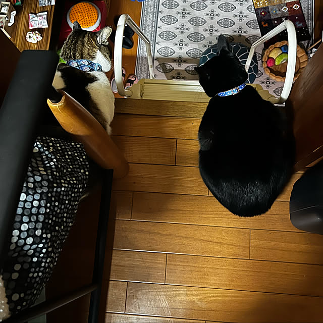 jijiさんの実例写真