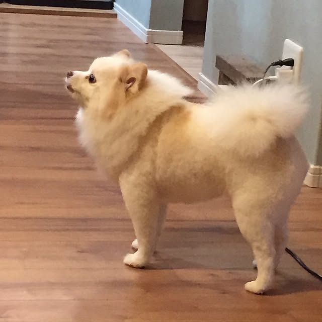 kt85さんの実例写真