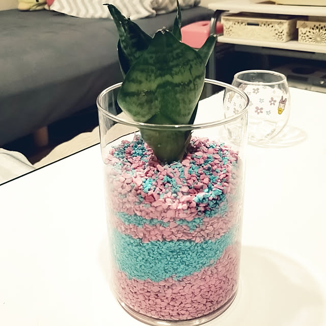 Tさんの実例写真