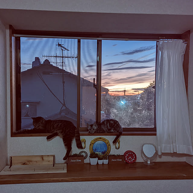 uchizukonyanさんの実例写真