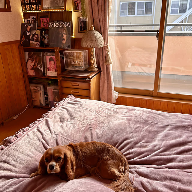 juncocoさんの実例写真