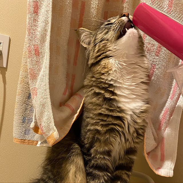 sh.0514さんの実例写真