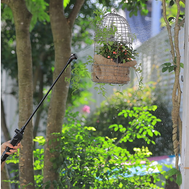 Royal_Gardeners_Clubさんの実例写真