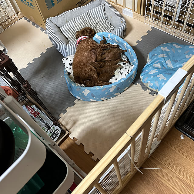 momoさんの実例写真