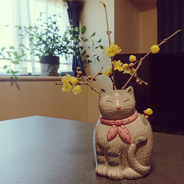NOAHさんの実例写真