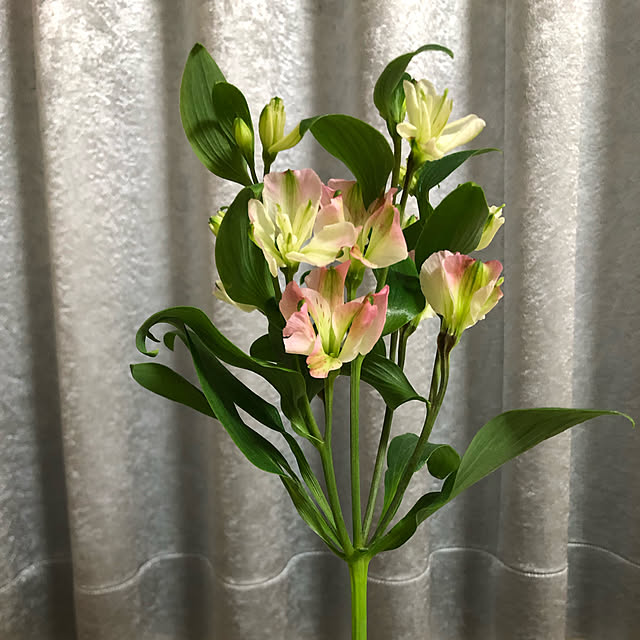 机のインテリア実例 - 2019-01-18 23:42:39