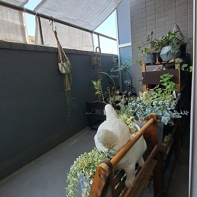 noaさんの実例写真