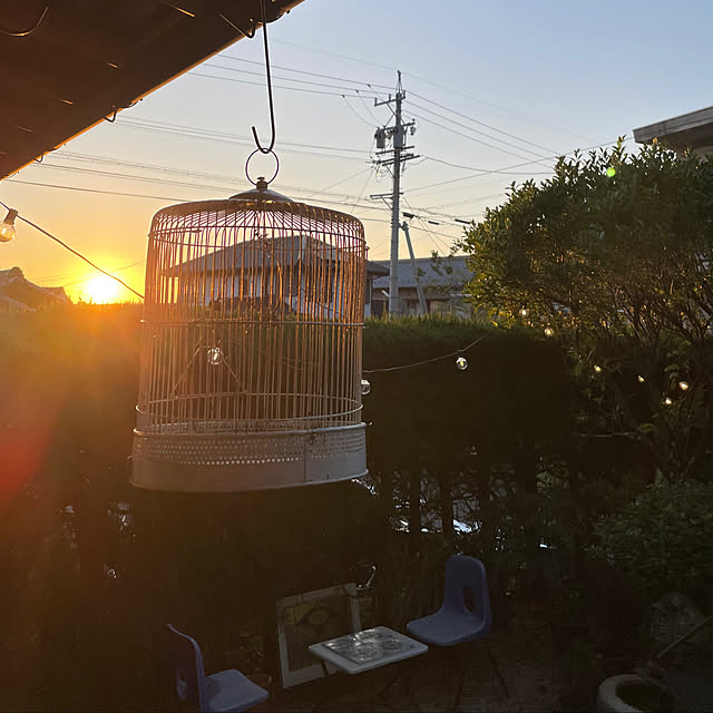 shin0719さんの実例写真