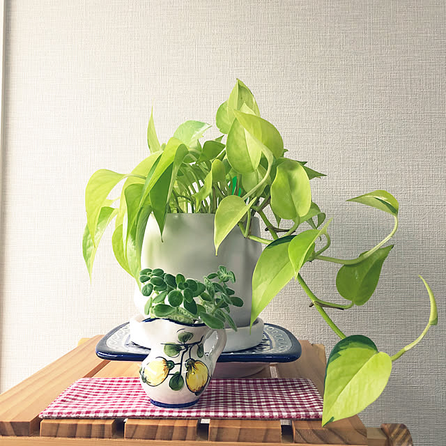 yoyoyoさんの部屋